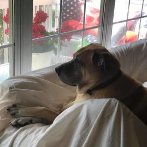 Meet your Posher, Jodie